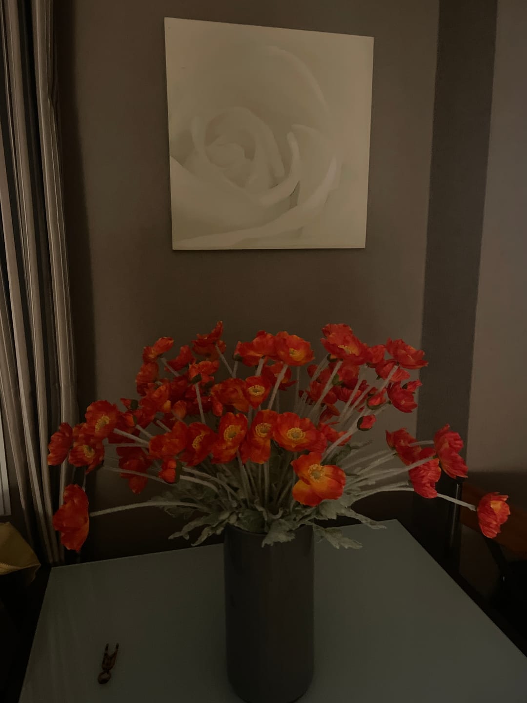 Customer photo review of Coquelicots - Orange (10 tiges)