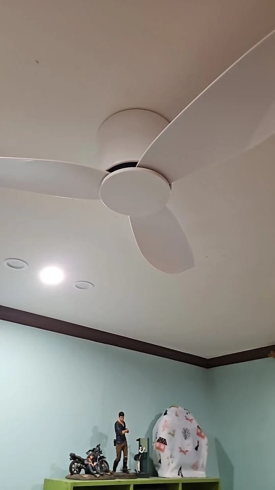 Customer photo review of 36/44/52-Inch Low-Profile Ceiling Fan with Remote Control