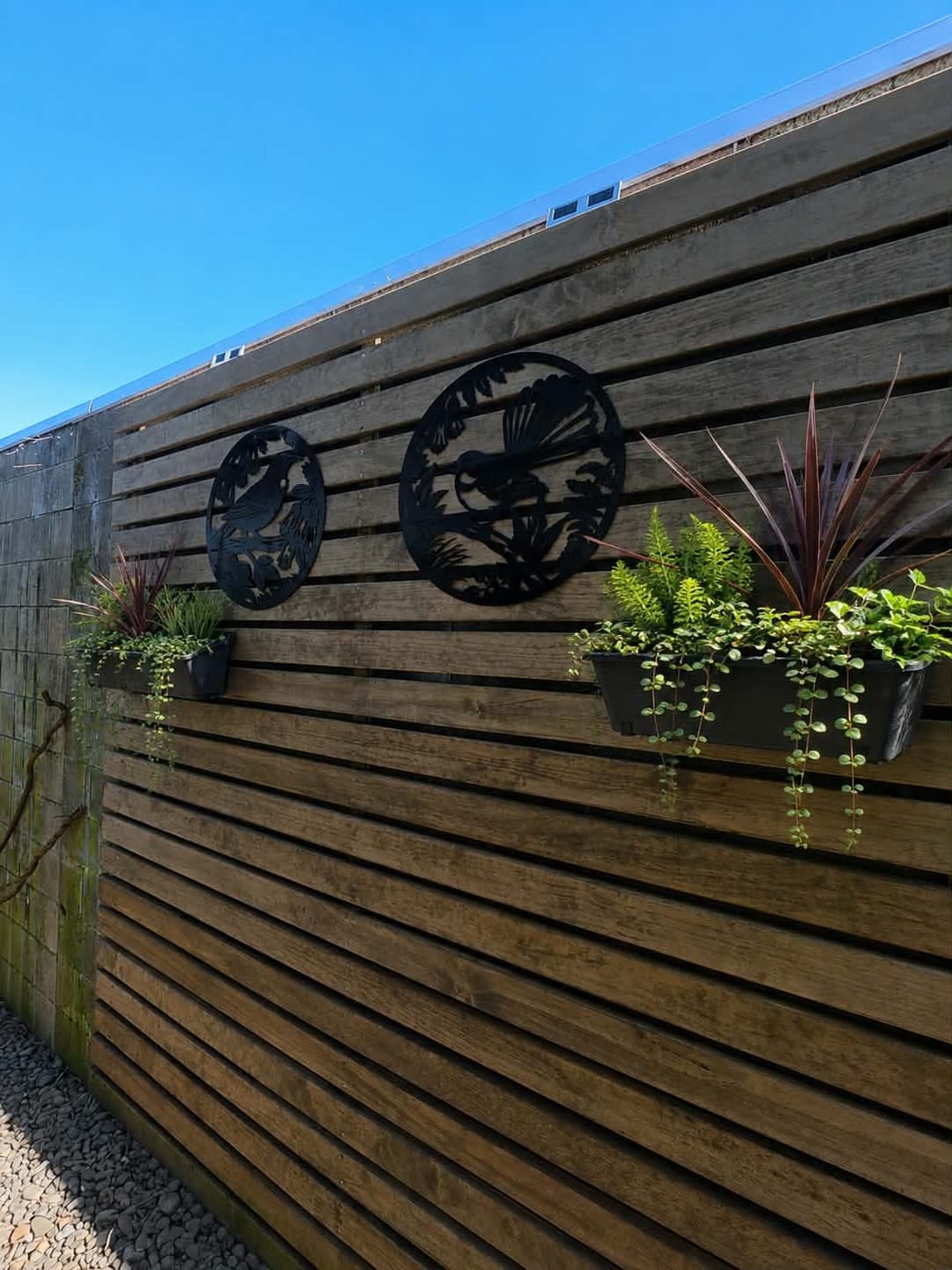 Customer photo review of Kōwhai Tūī Wall Art