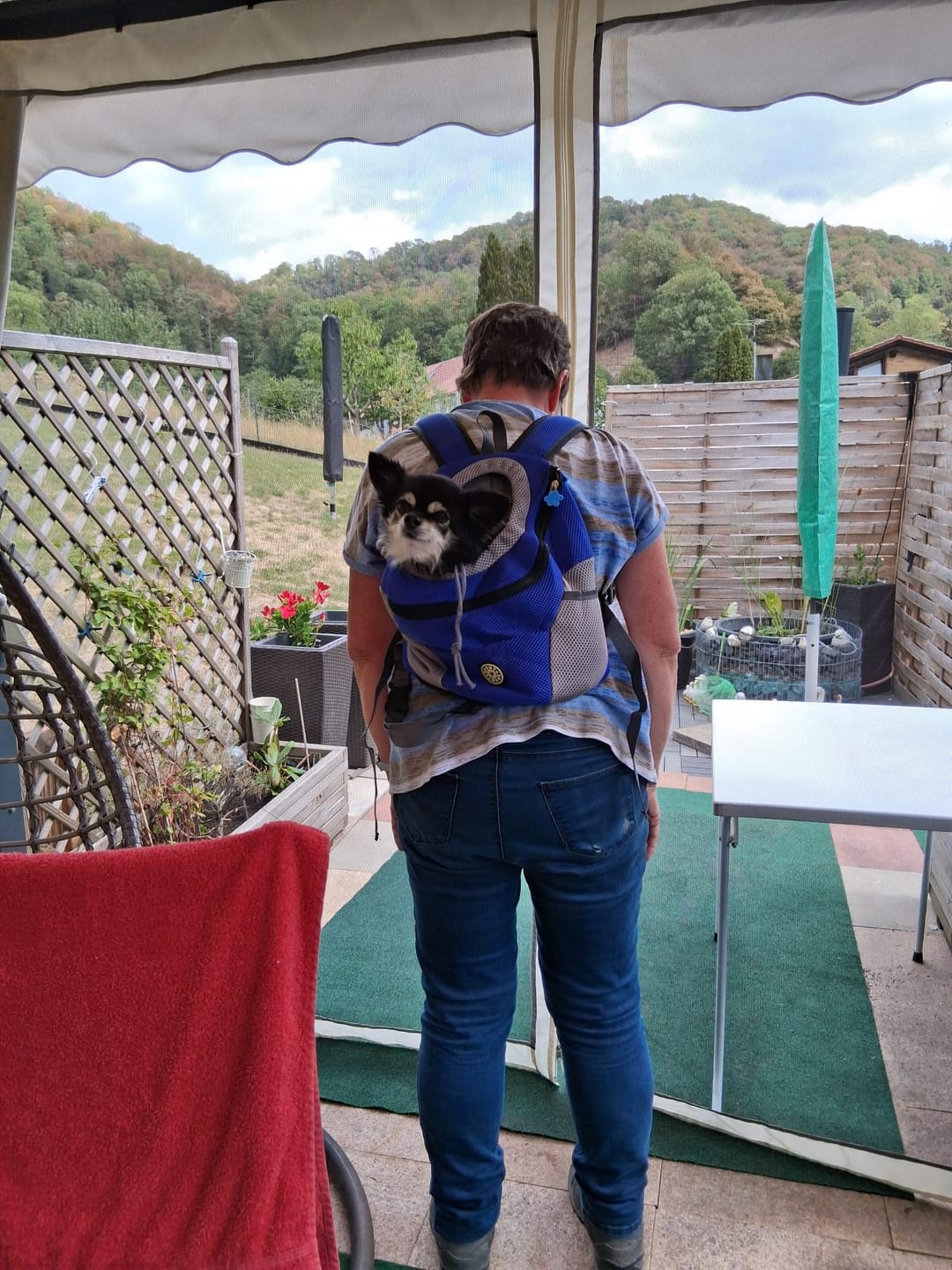 Customer photo review of Hunde-Rucksack bis 15 kg – Transportrucksack für kleine Hunde