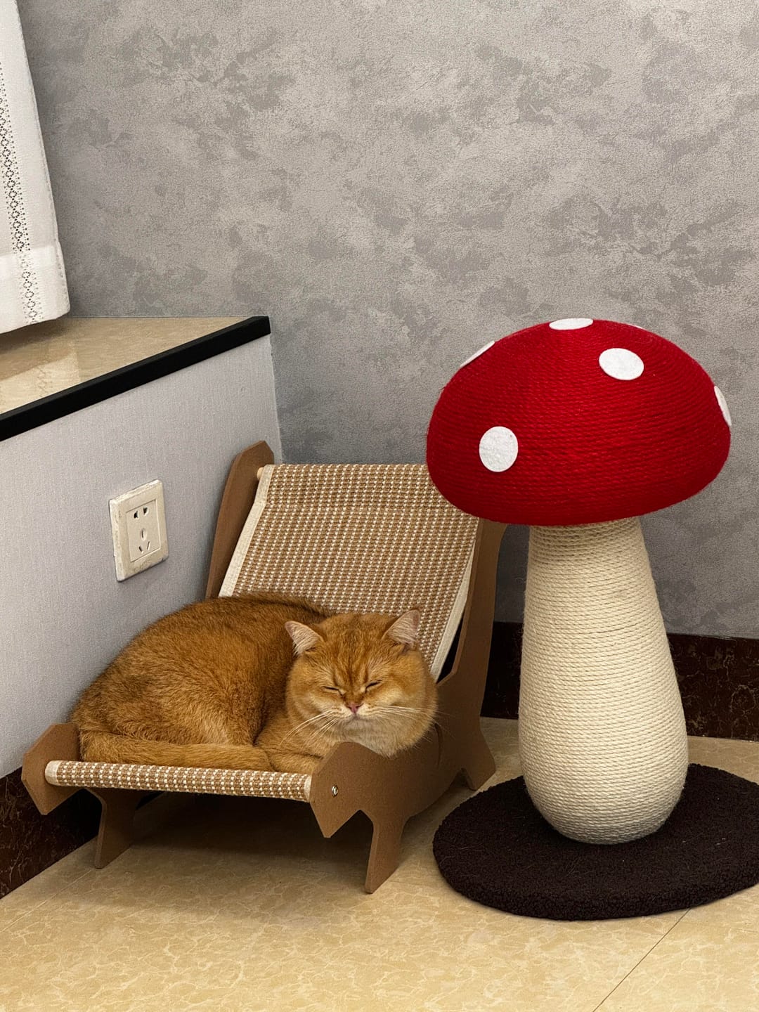 Customer photo review of Red Mushroom Cat Scratching Post