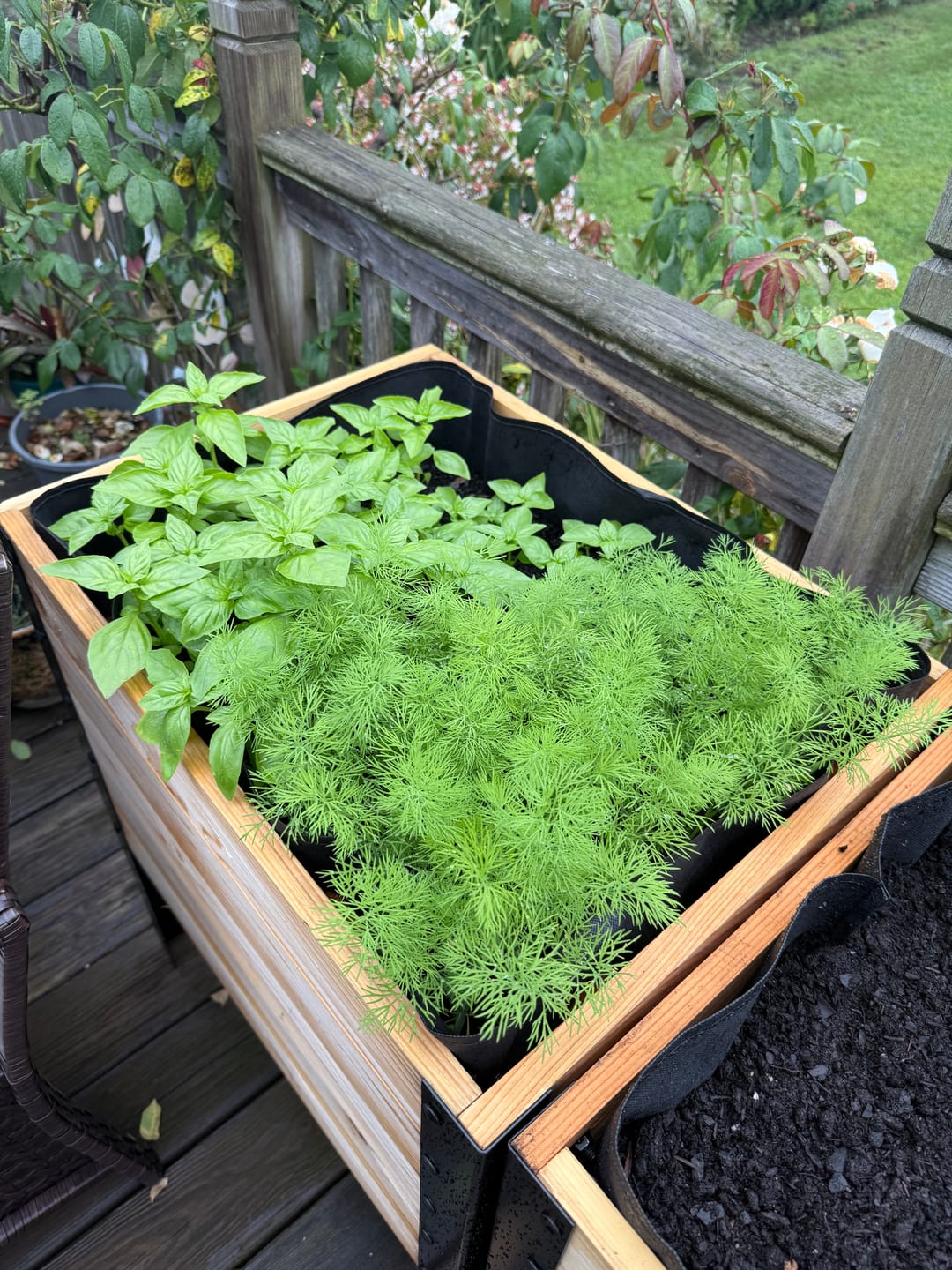 Customer photo review of 18″ x 48″ Deep Root Raised Garden Bed - 30″ TALL / Garden Grade
