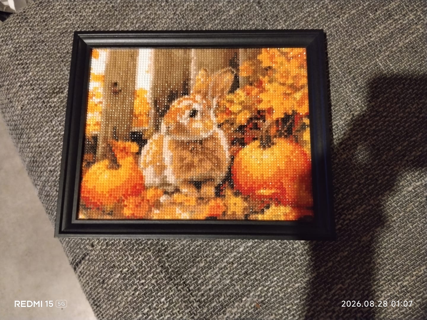 Customer photo review of Broderie Diamant - Lapin et citrouilles
