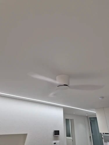 Customer photo review of 36/44/52-Inch Low-Profile Ceiling Fan with Remote Control