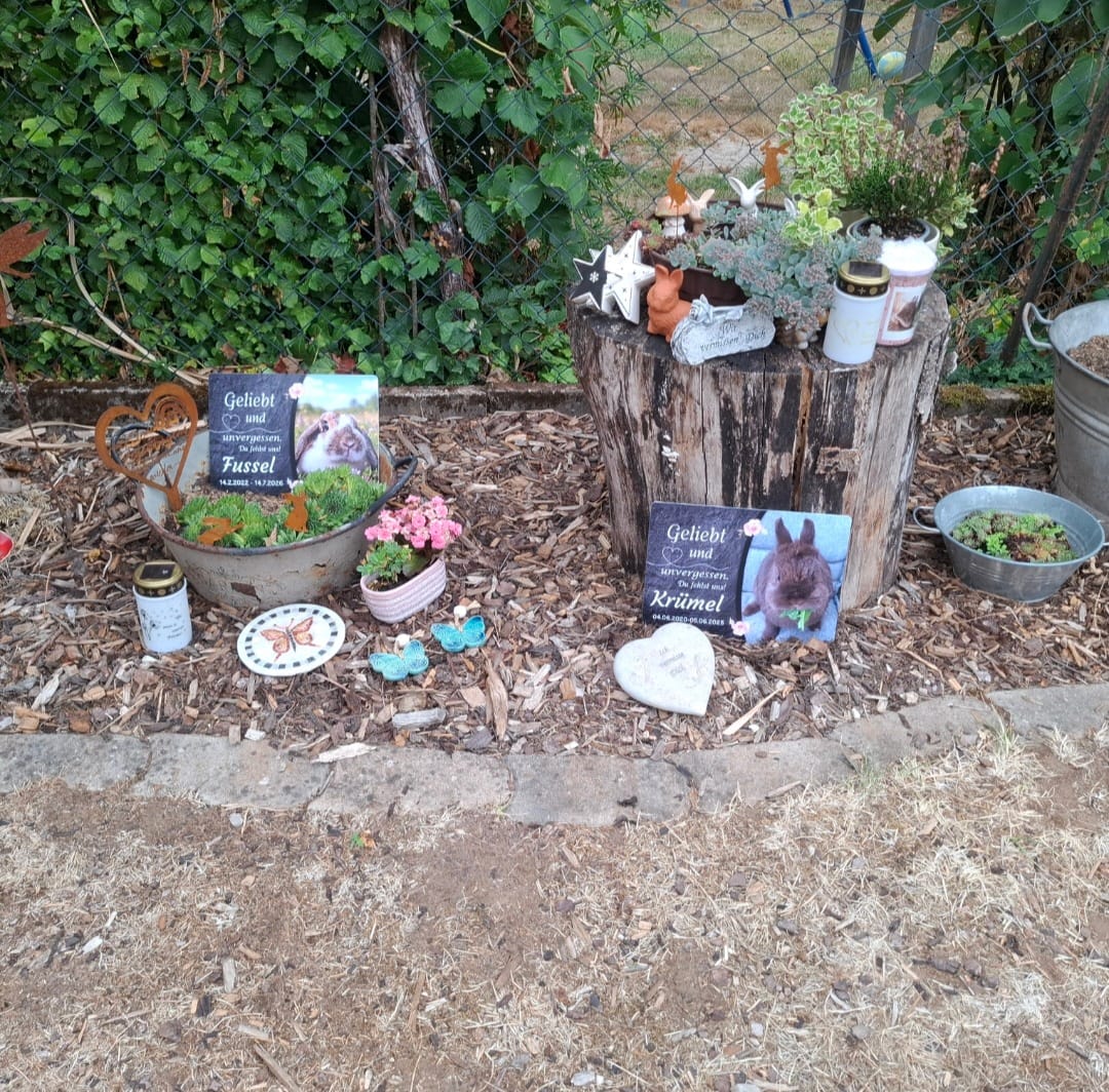 Customer photo review of Kaninchen Gedenktafel mit Foto & Spruch (UV- & Wetterfest)