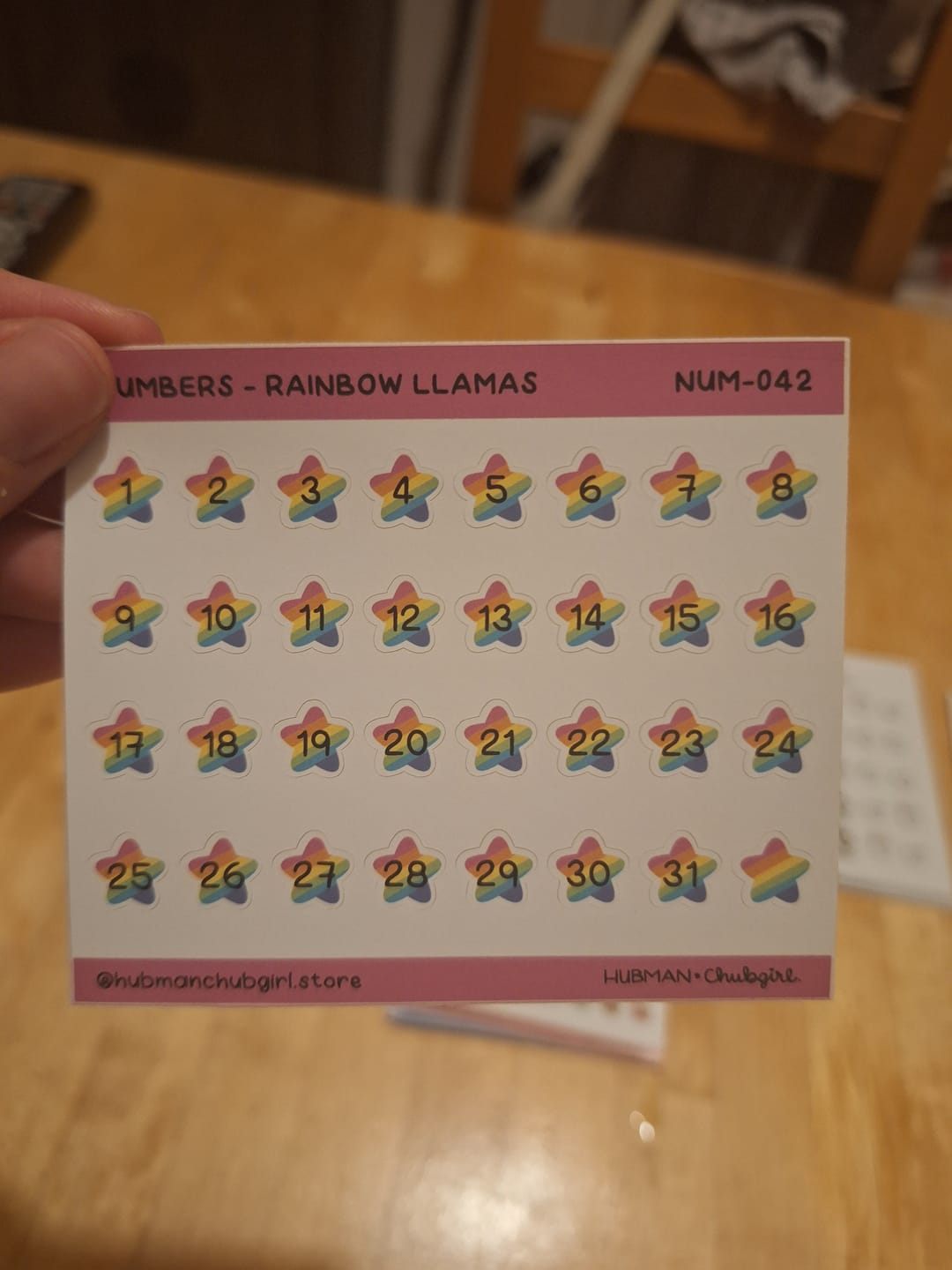 Customer photo review of Numbers - Rainbow Llamas Planner Stickers