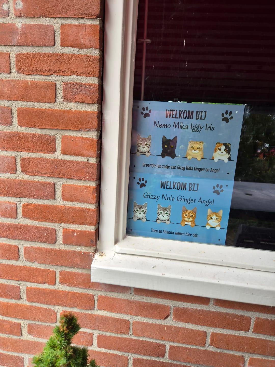 Customer photo review of Spionerende huisdieren - Gepersonaliseerde deurbord
