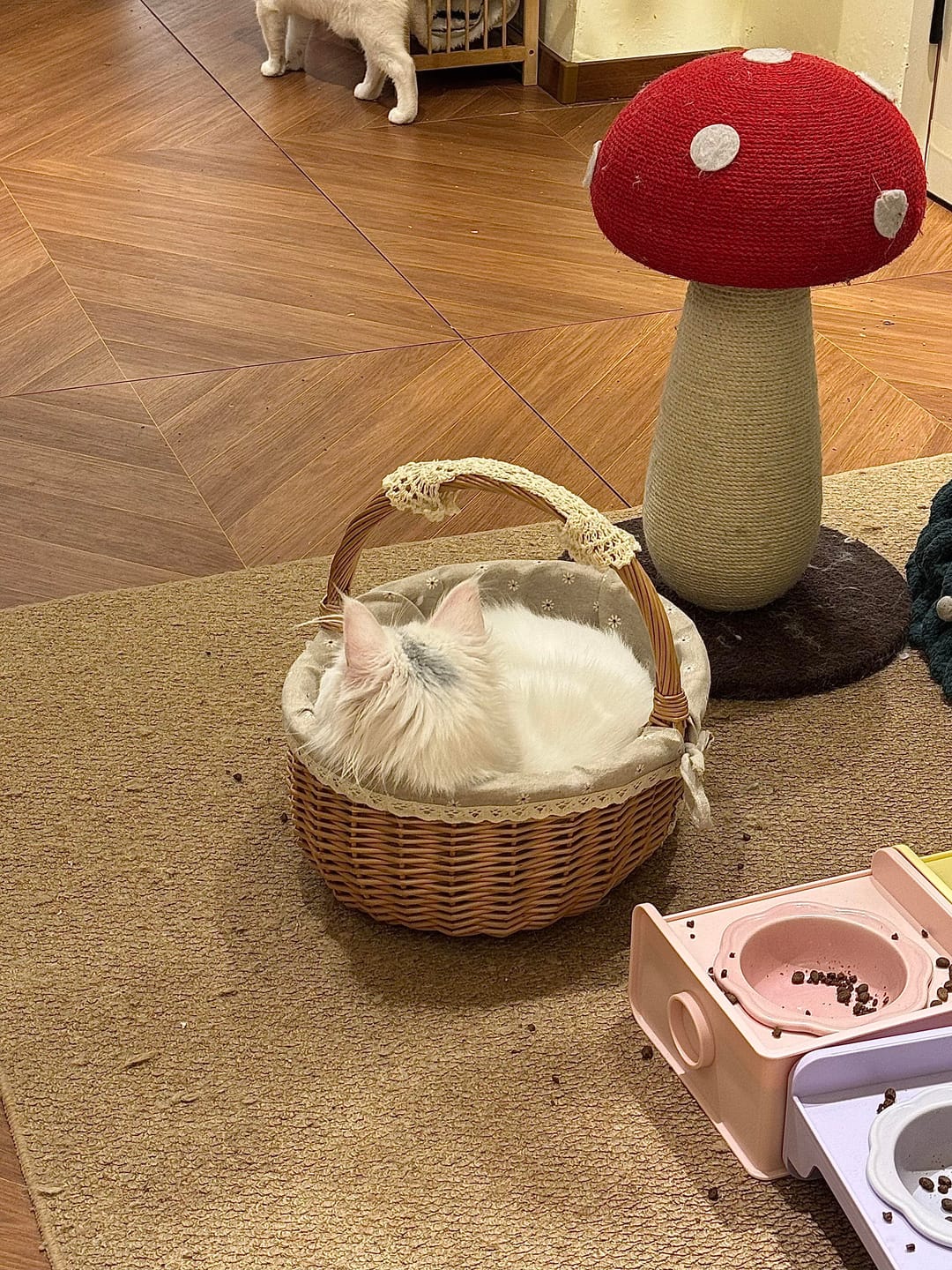 Customer photo review of Red Mushroom Cat Scratching Post