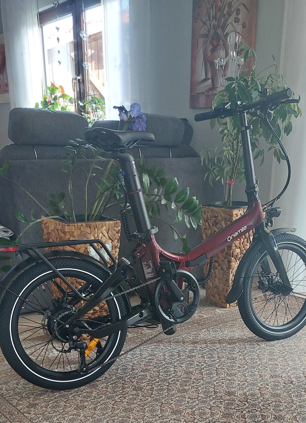 Customer photo review of Onemile Nomad Folding Ebikes