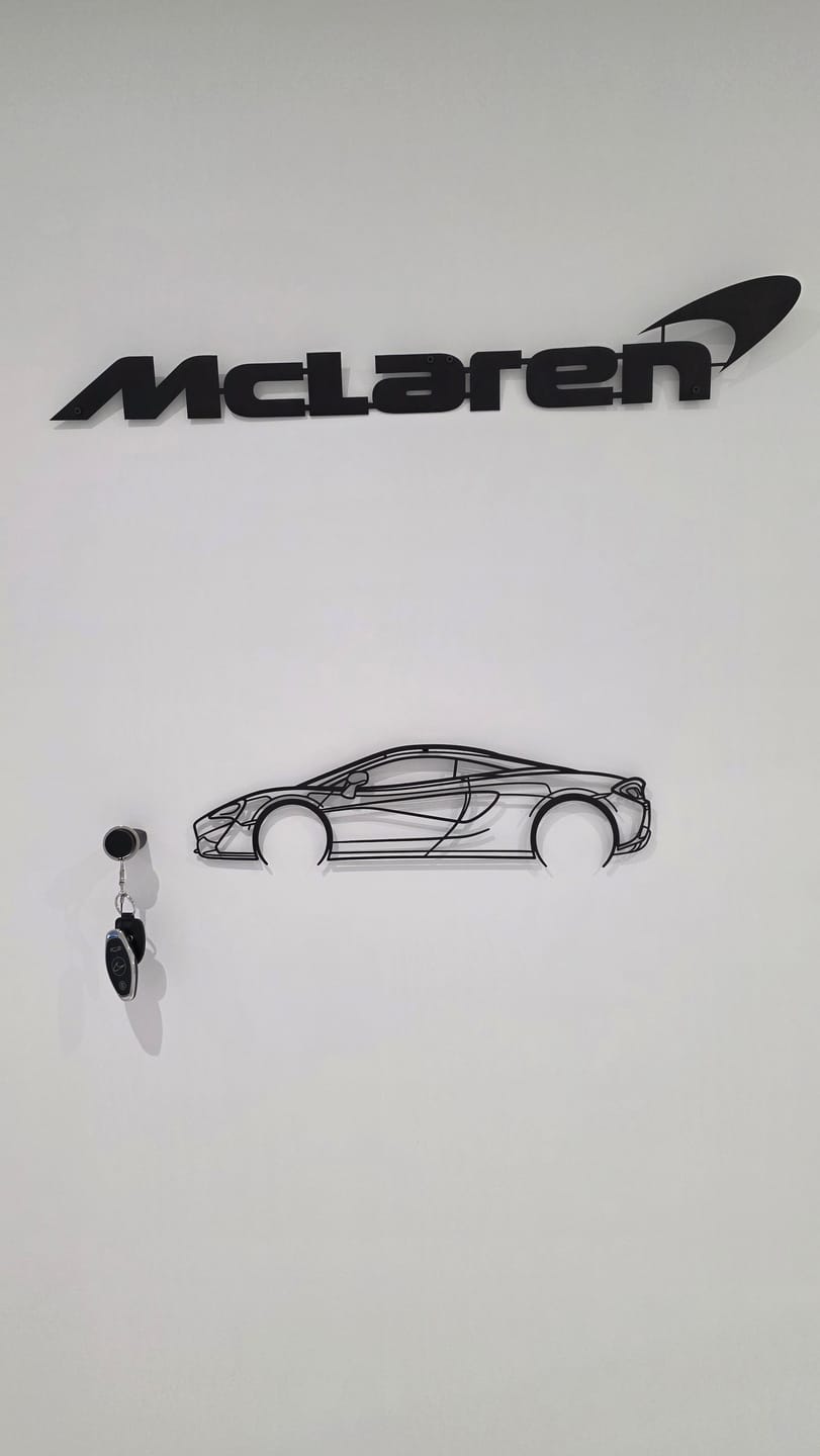 Customer photo review of 570s Detailed Silhouette Metal Wall Art