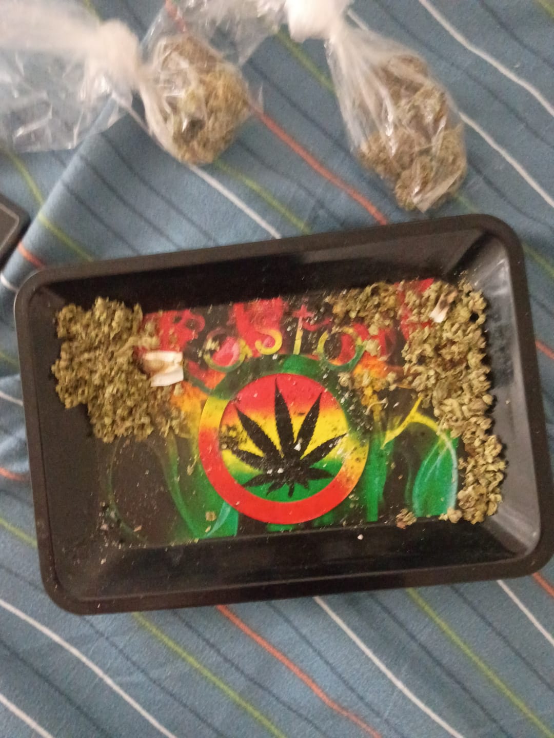 Customer photo review of Jungle Gelato - 28 Grams - Indica