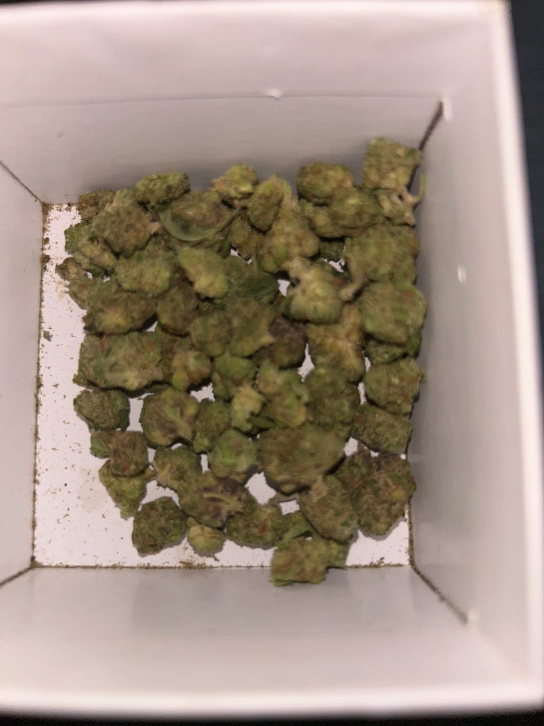Customer photo review of 24K Gold Minis - Bulk Minis - Indica