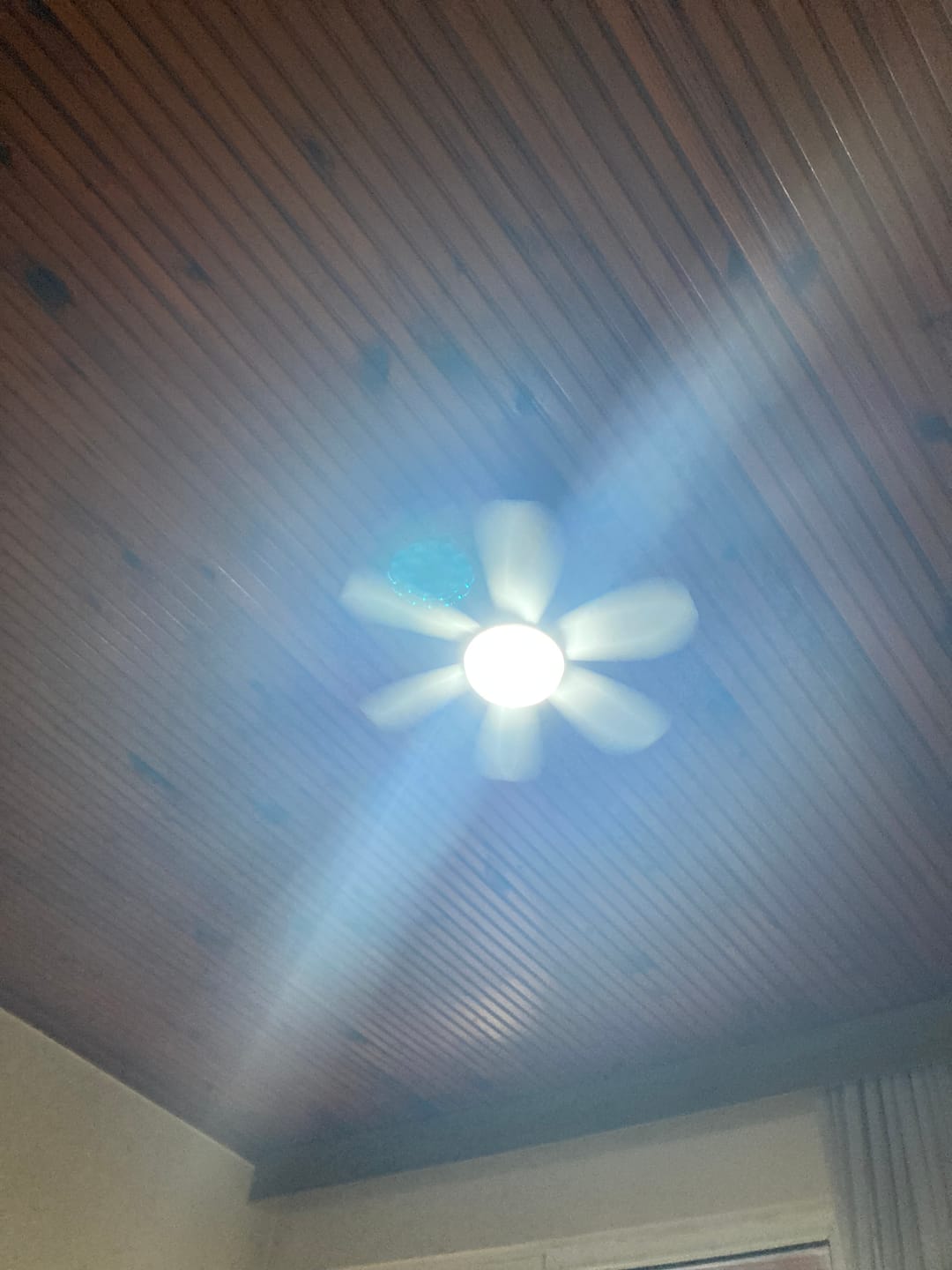 Customer photo review of Ventilight Fanlı Led Lamba Pro - Tavan Vantilatörü