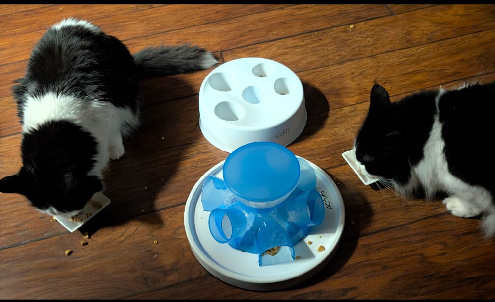 Customer photo review of Royal Canin Veterinary Diet - Urinary SO + Hydrolyzed Protein Dry Cat Food