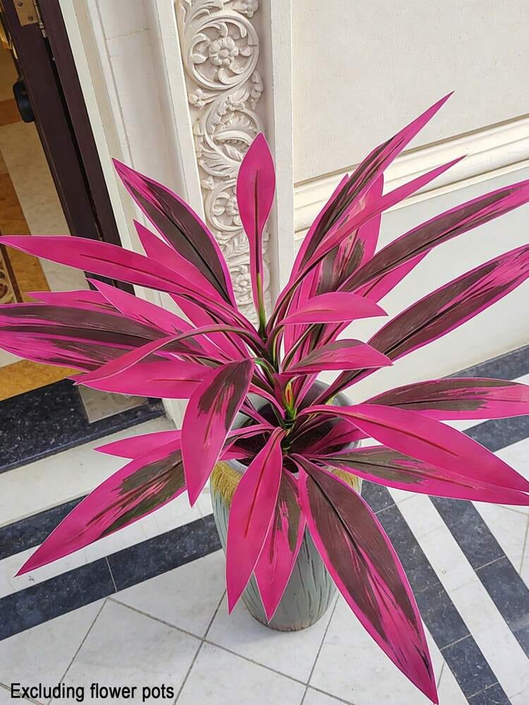 Customer photo review of 🔥Last Day 50% OFF🔥Large Realistic Artificial Boston Fern & Dragon's Blood Tree Plants