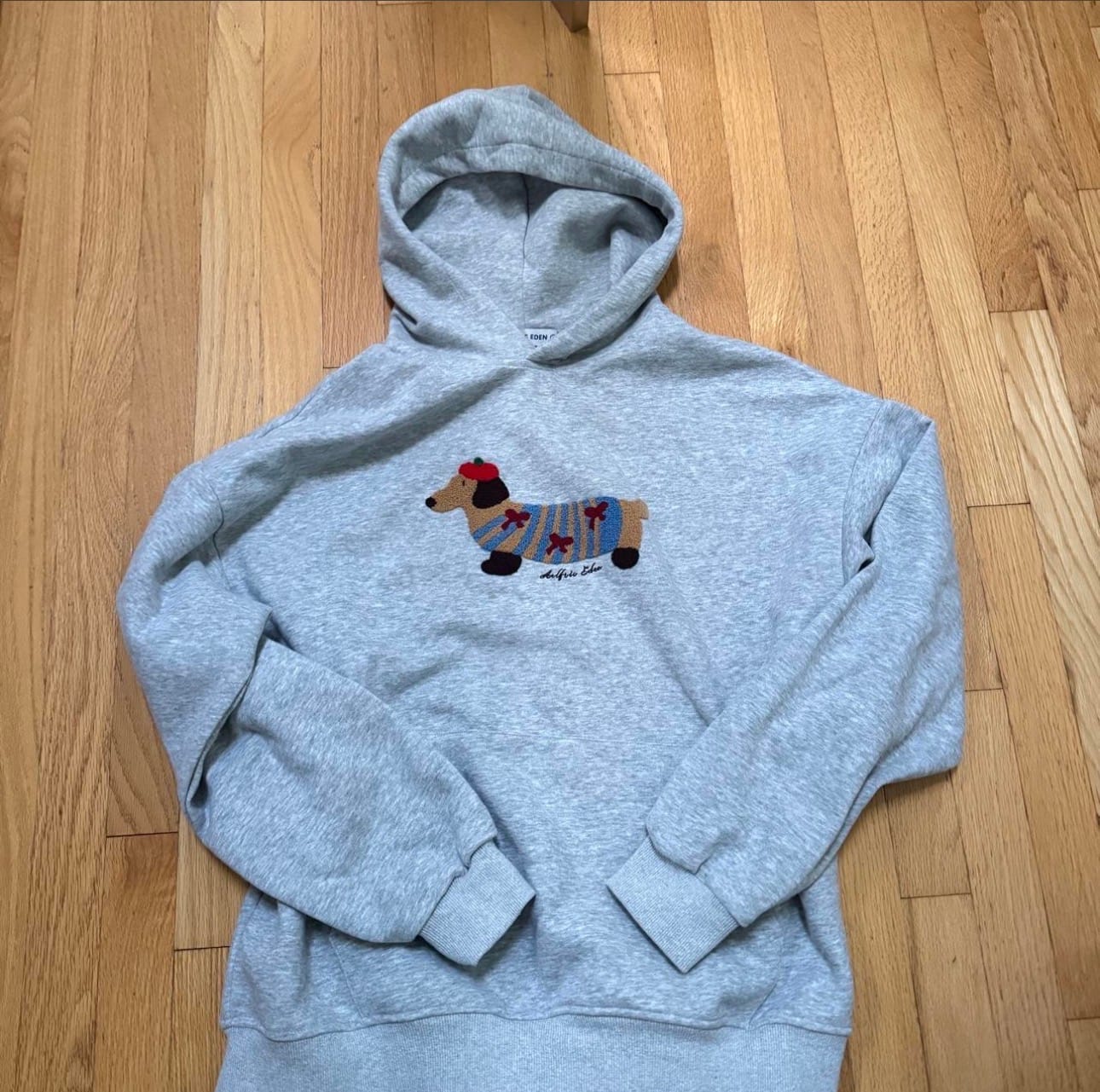 Customer photo review of Aelfric Eden Cartoon Dachshund Hoodie
