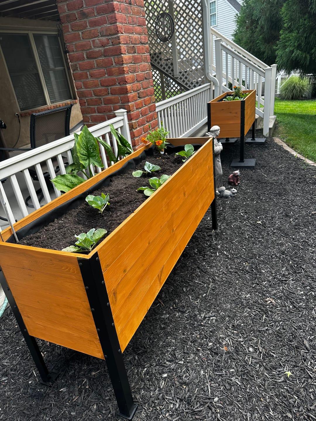 Customer photo review of 18″ x 48″ Deep Root Raised Garden Bed - 30″ TALL - Select Grade