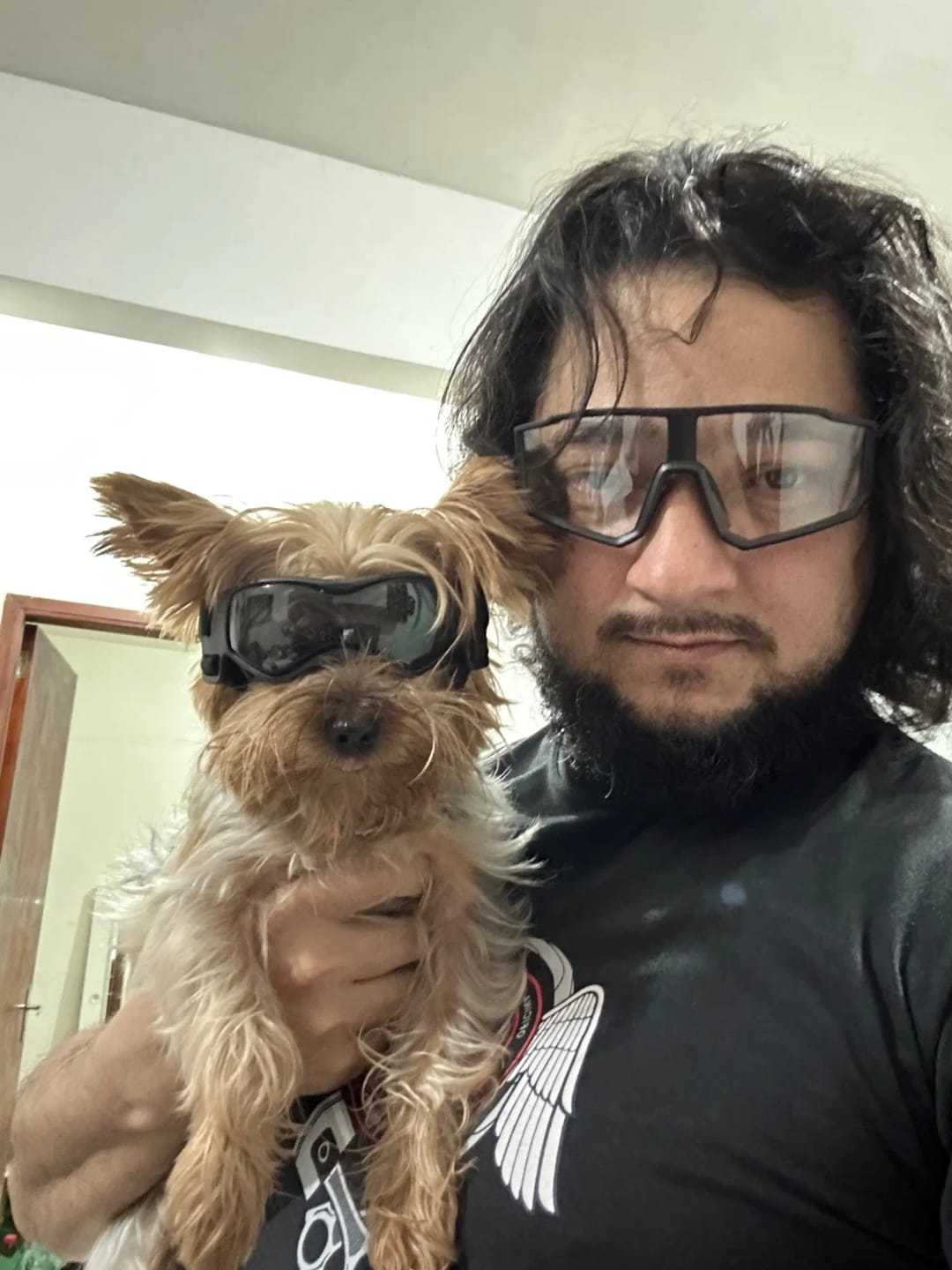 Customer photo review of CANLUX Pet - Gafas para Mascotas