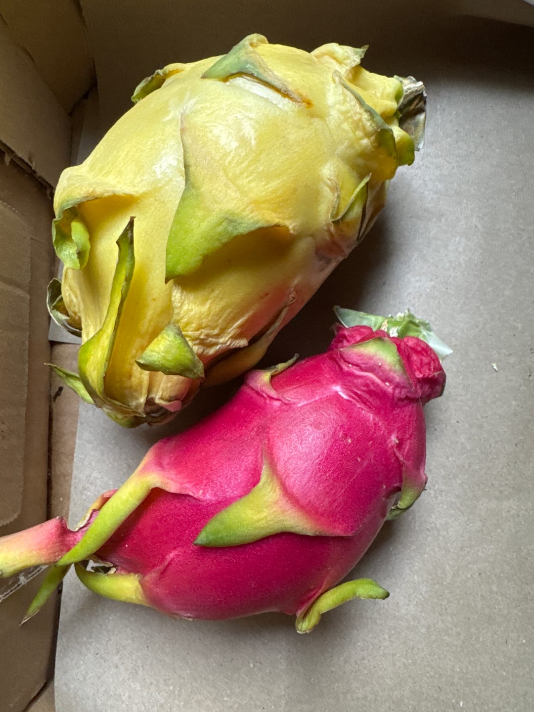 Customer photo review of Drachenfrucht bunter Mix Bio von Salvador