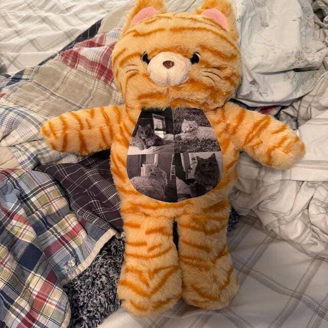 Customer photo review of Custom Photo Cat Plush