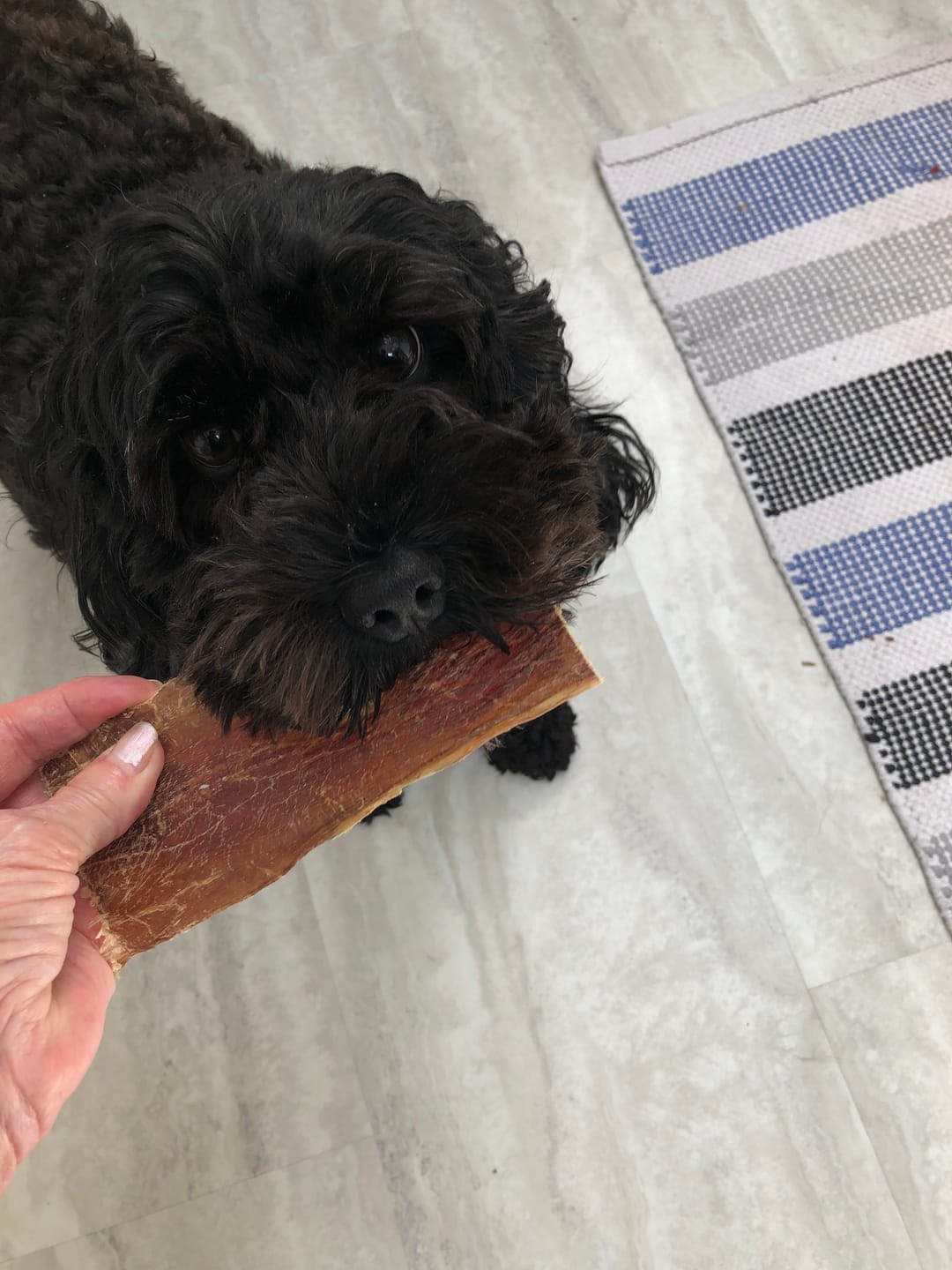 Customer photo review of 6 Inch Beef Jerky Strip