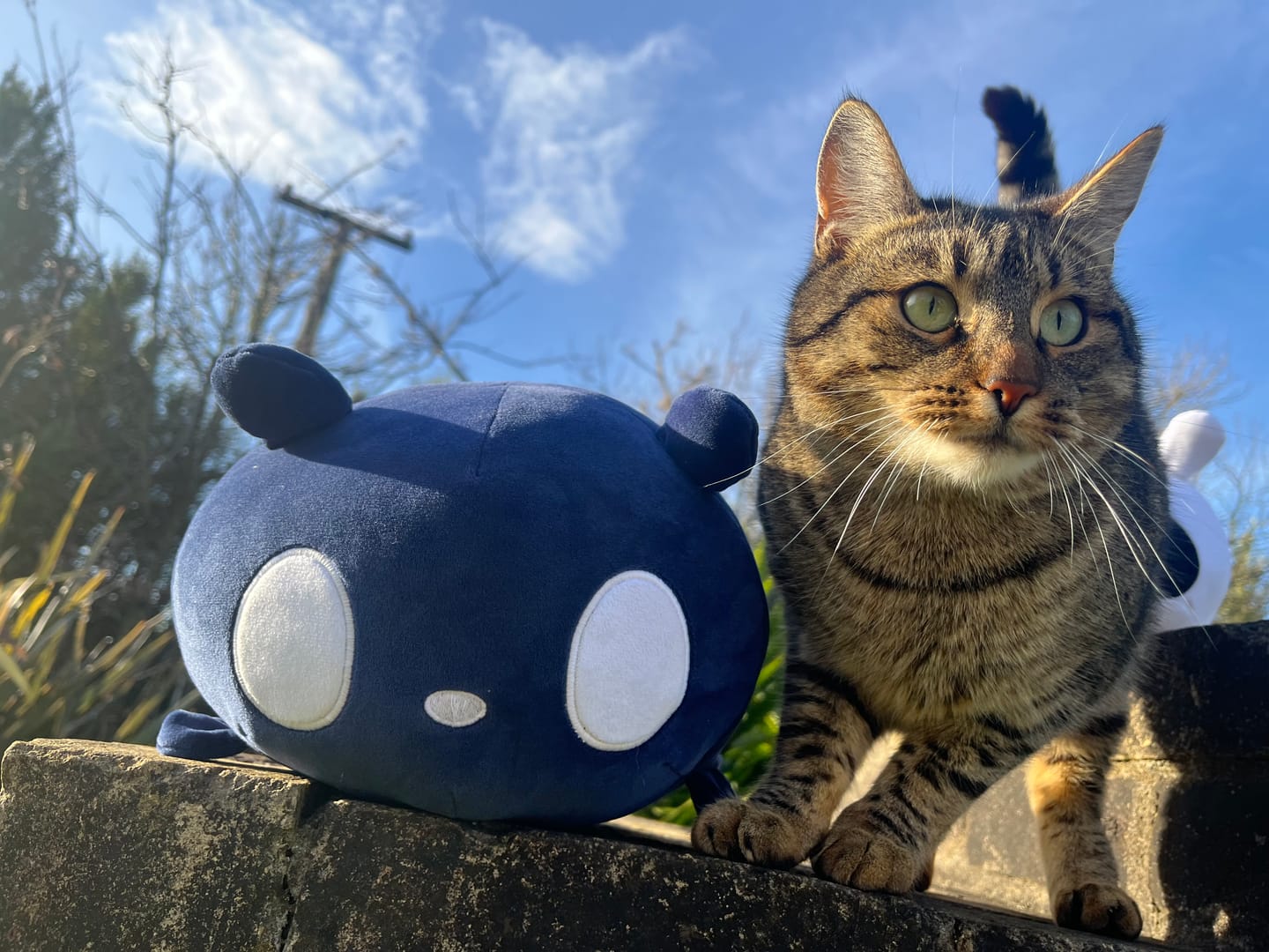Customer photo review of Rain World - Watcher Slugcat Pillow Plush