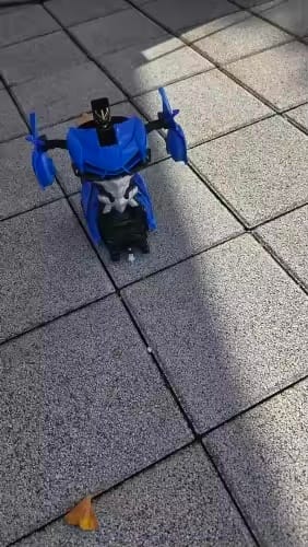 Customer photo review of TransformCar™ – RC Transforming Robot Car