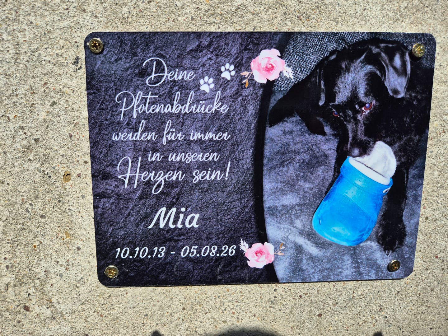 Customer photo review of Hunde Gedenktafel mit Foto & Spruch (UV- &  Wetterfest)