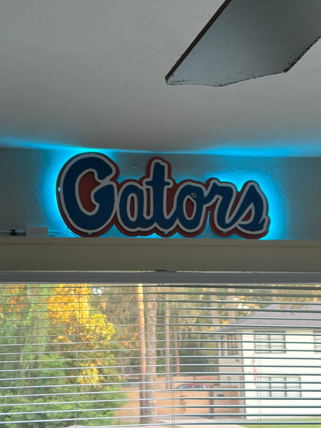 Customer photo review of Florida "GATORS" 3D Vintage Metal Wall Art
