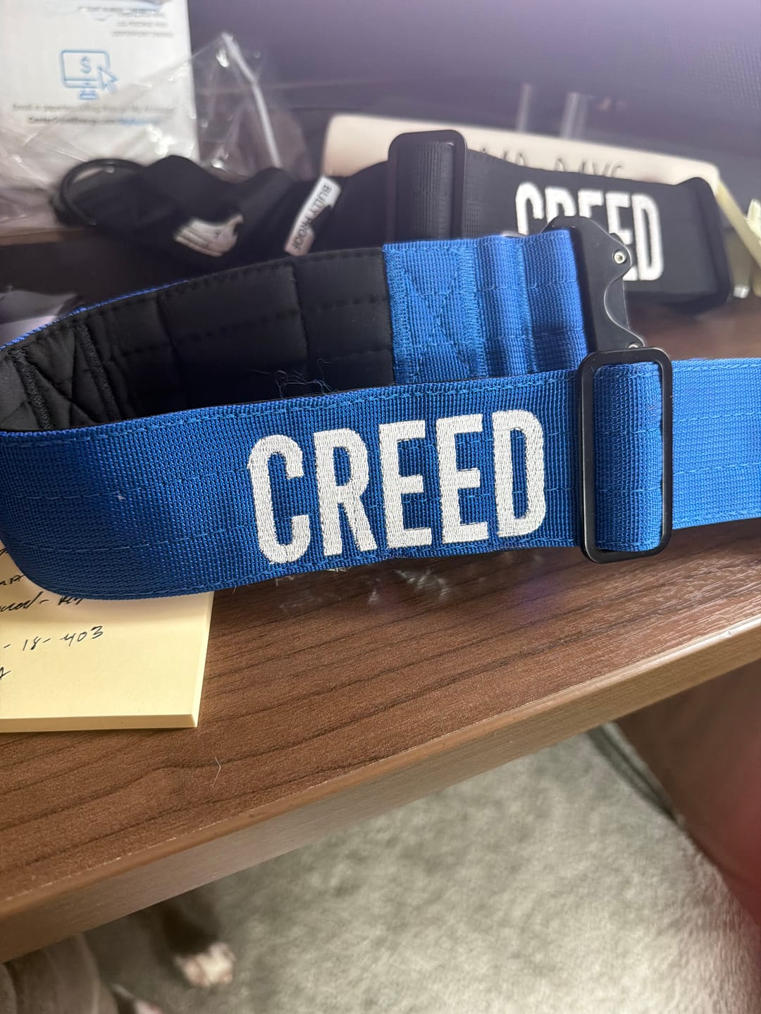 Customer photo review of Bully Proof Collar