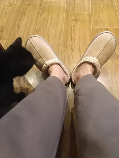 Customer photo review of NÖRA HUSH
