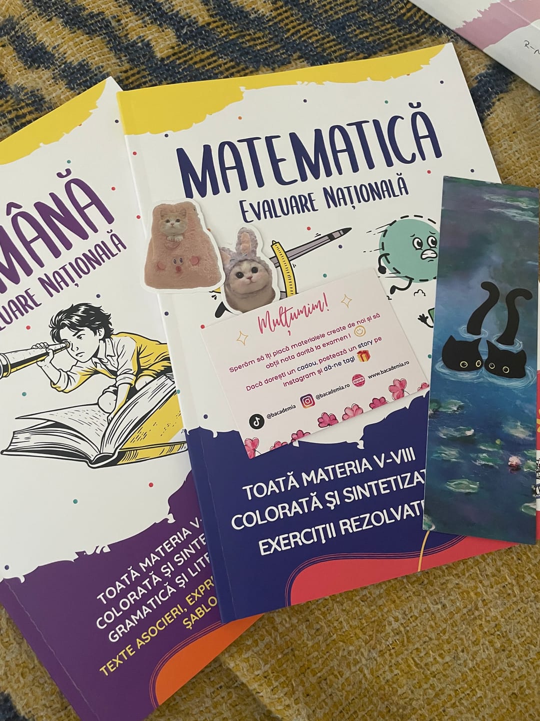 Customer photo review of Pachet Evaluare Națională (Română + Matematică) Bacademia