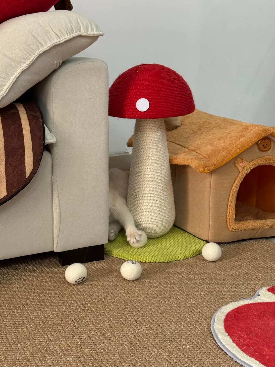 Customer photo review of Red Mushroom Cat Scratching Post