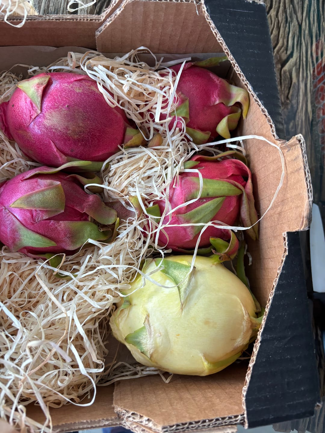 Customer photo review of Drachenfrucht bunter Mix Bio von Salvador