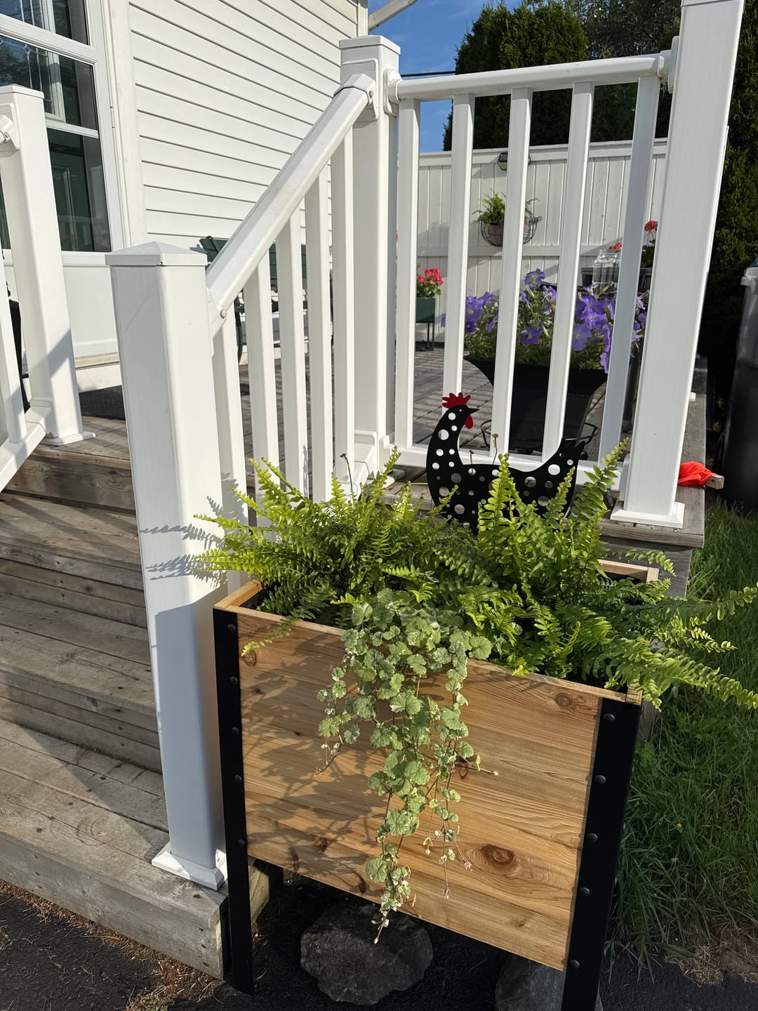 Customer photo review of 18" x 24" Raised Garden Bed - 30" TALL / Select Grade
