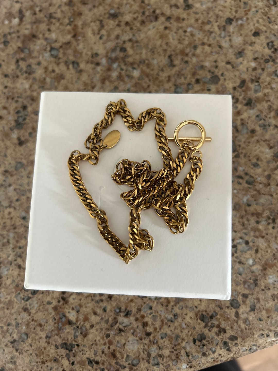 Customer photo review of Jude Necklace