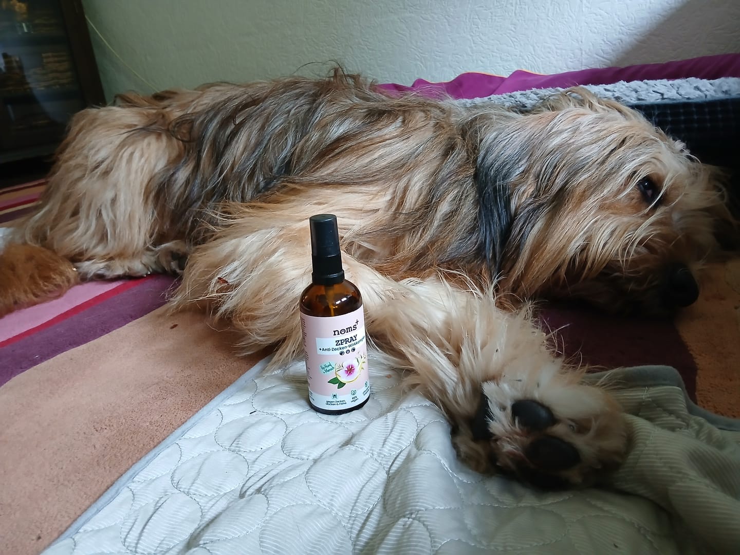 Customer photo review of Zpray für Hunde & Menschen