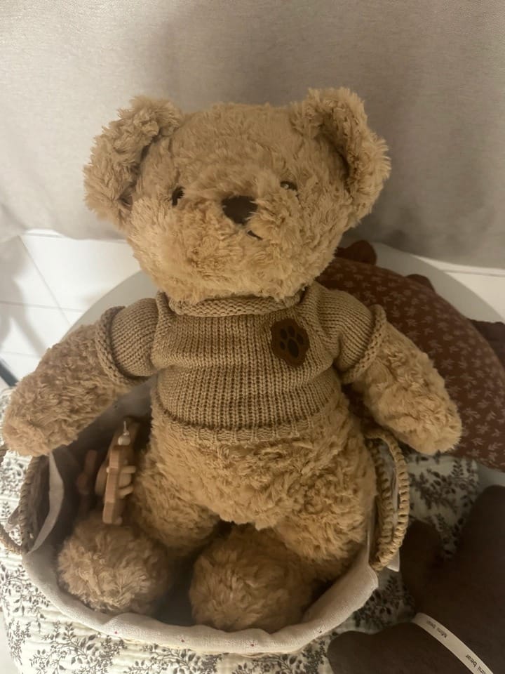 Customer photo review of Bruno Toffee Bear Plush Toy