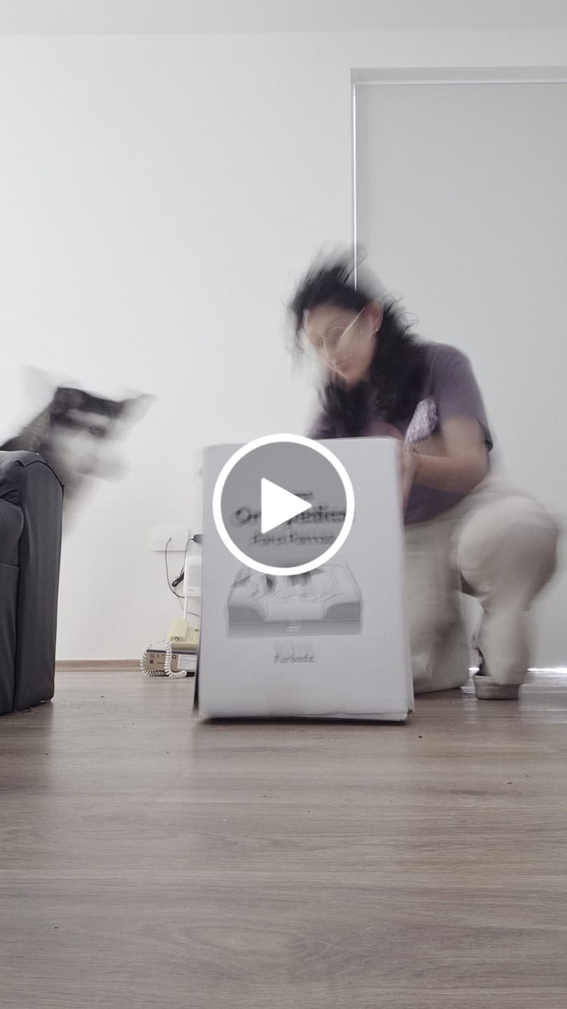 Customer video review of Cama Ortopédica para Perros