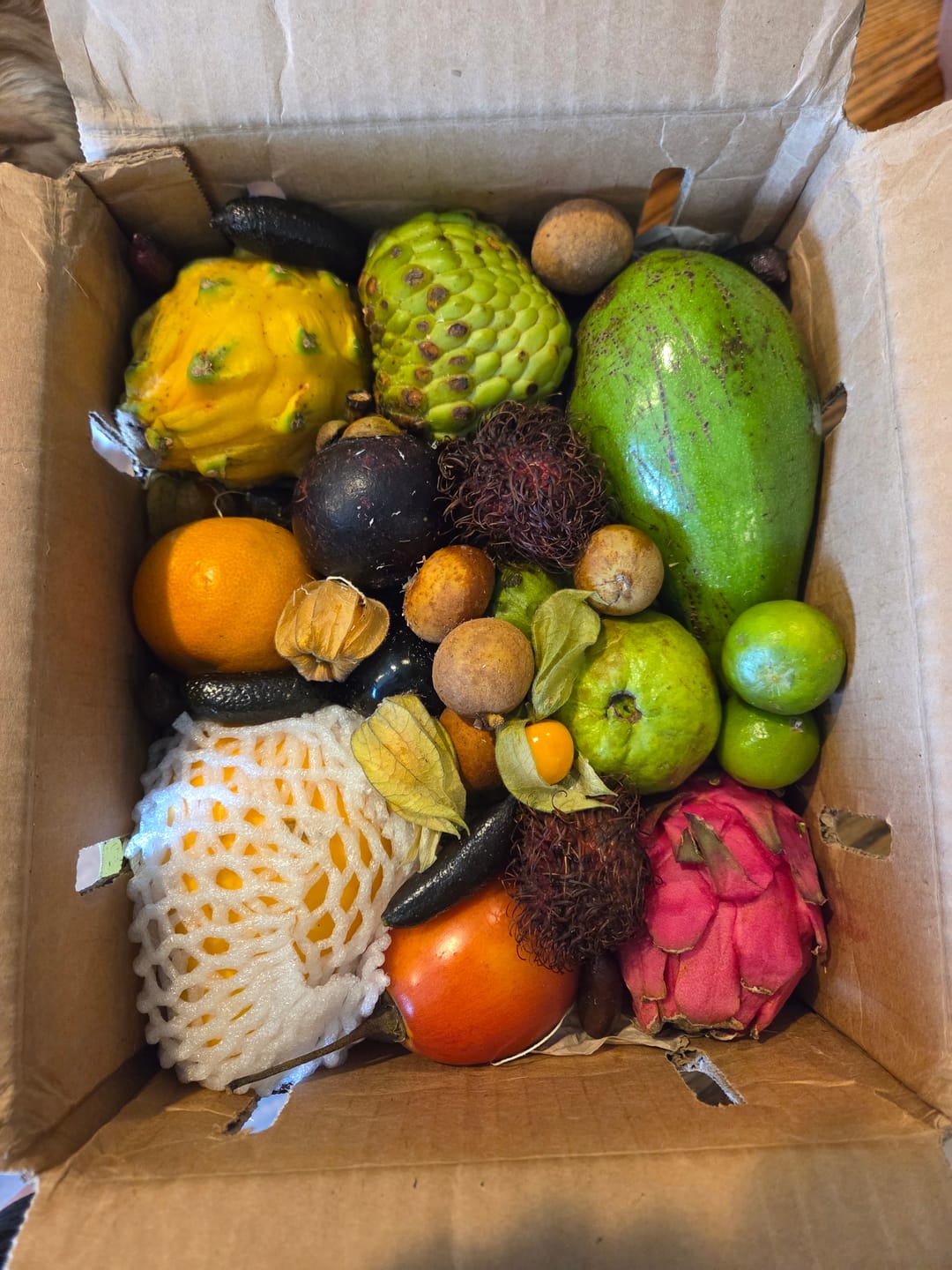Customer photo review of Variety Box