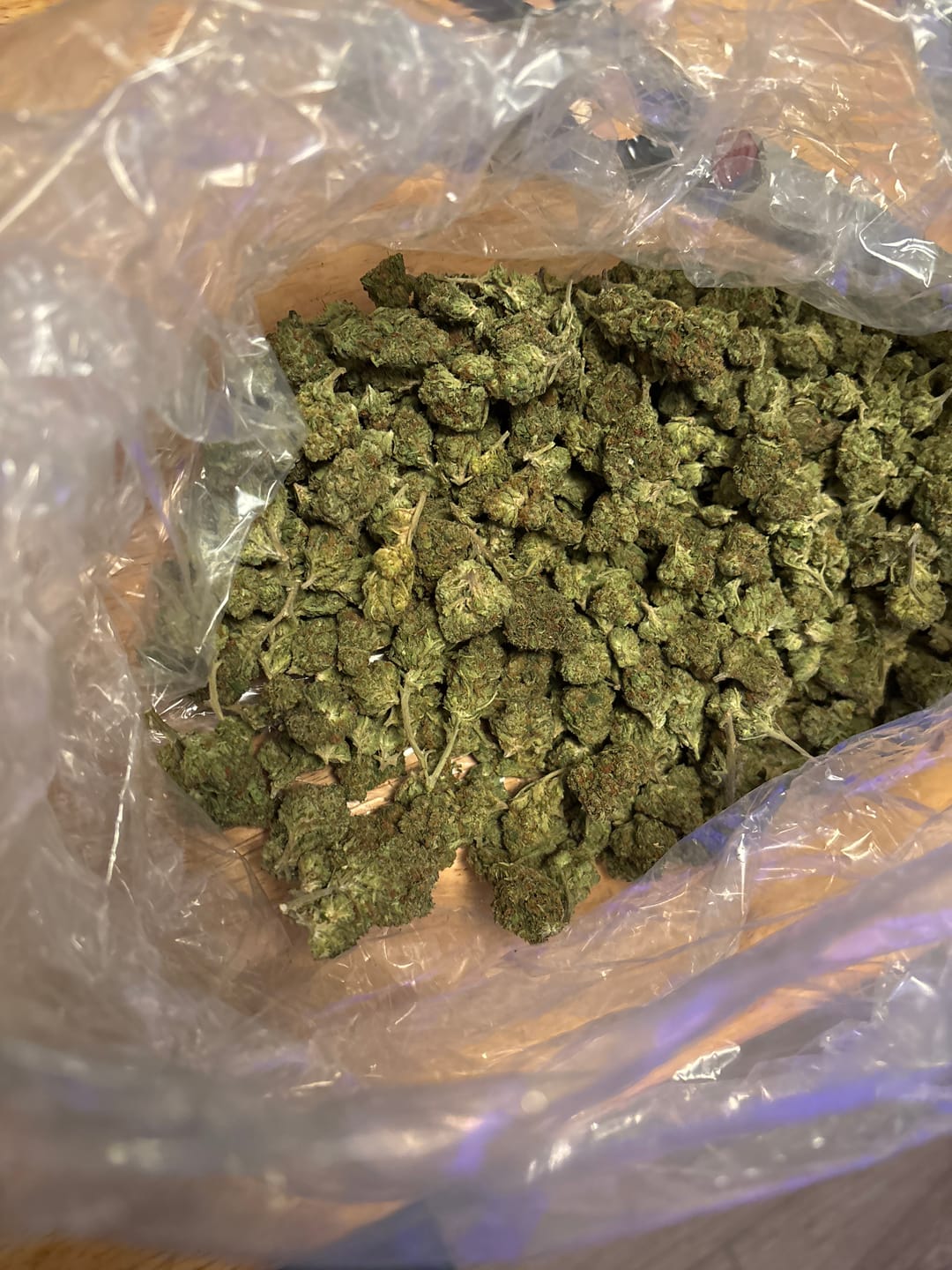 Customer photo review of Gelato Kush - Bulk - Indica