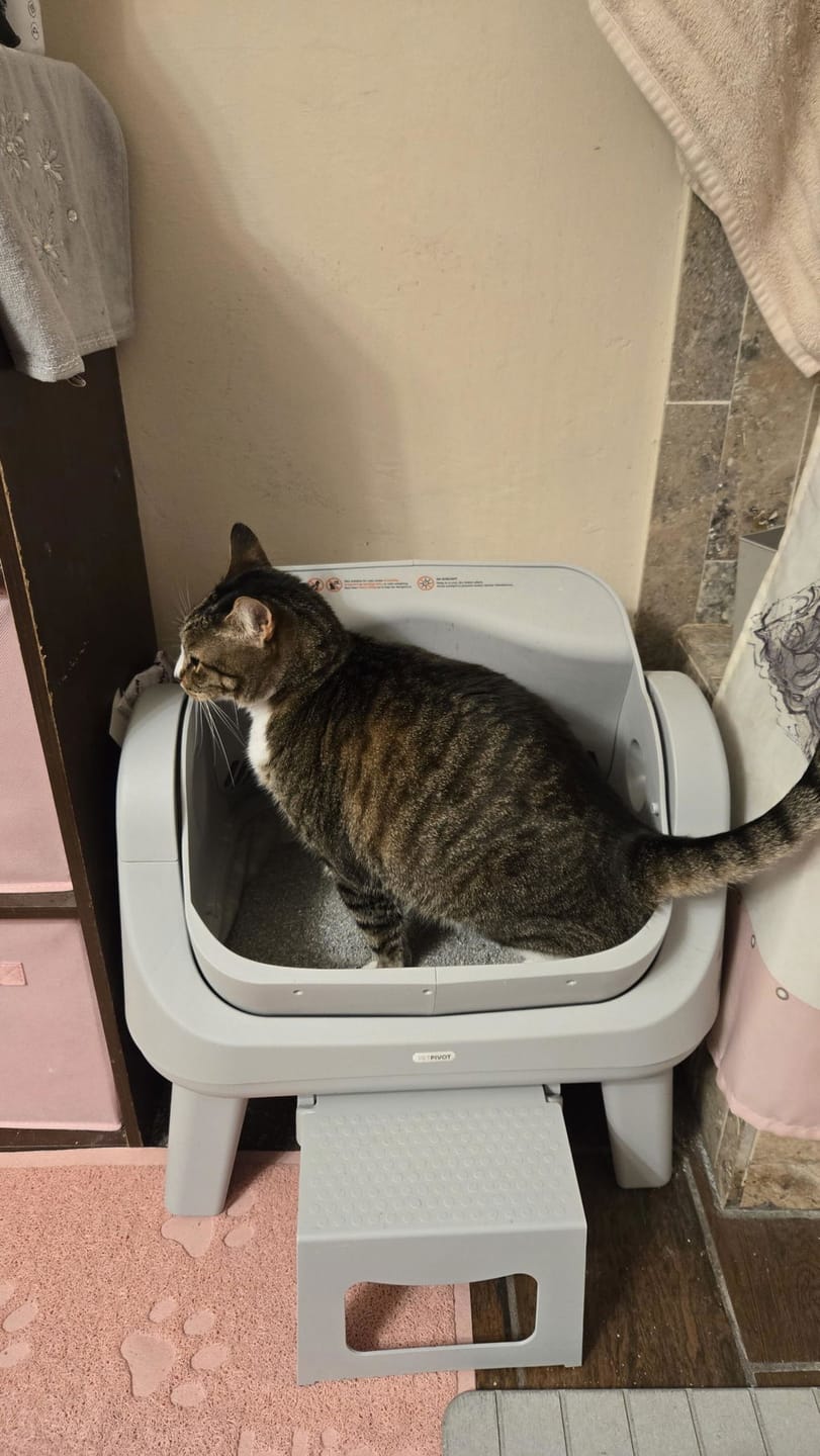 Customer photo review of AutoScooper 12 Lite Cat Litter Box