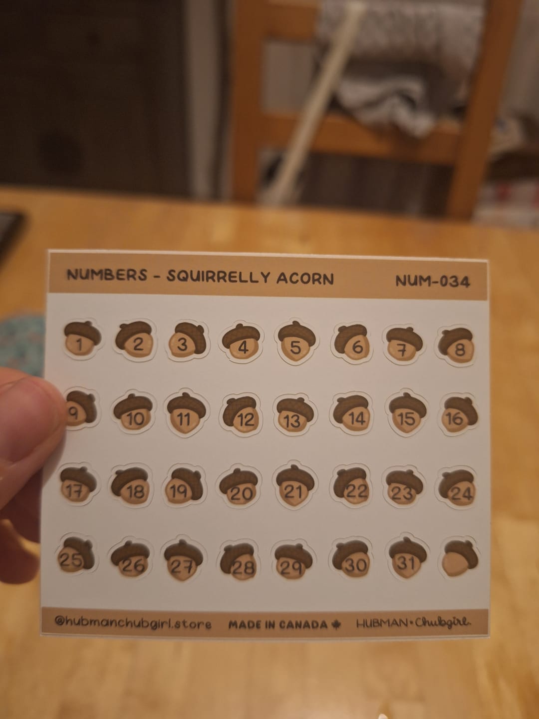Customer photo review of Numbers - Squirrelly Acorn Planner Stickers