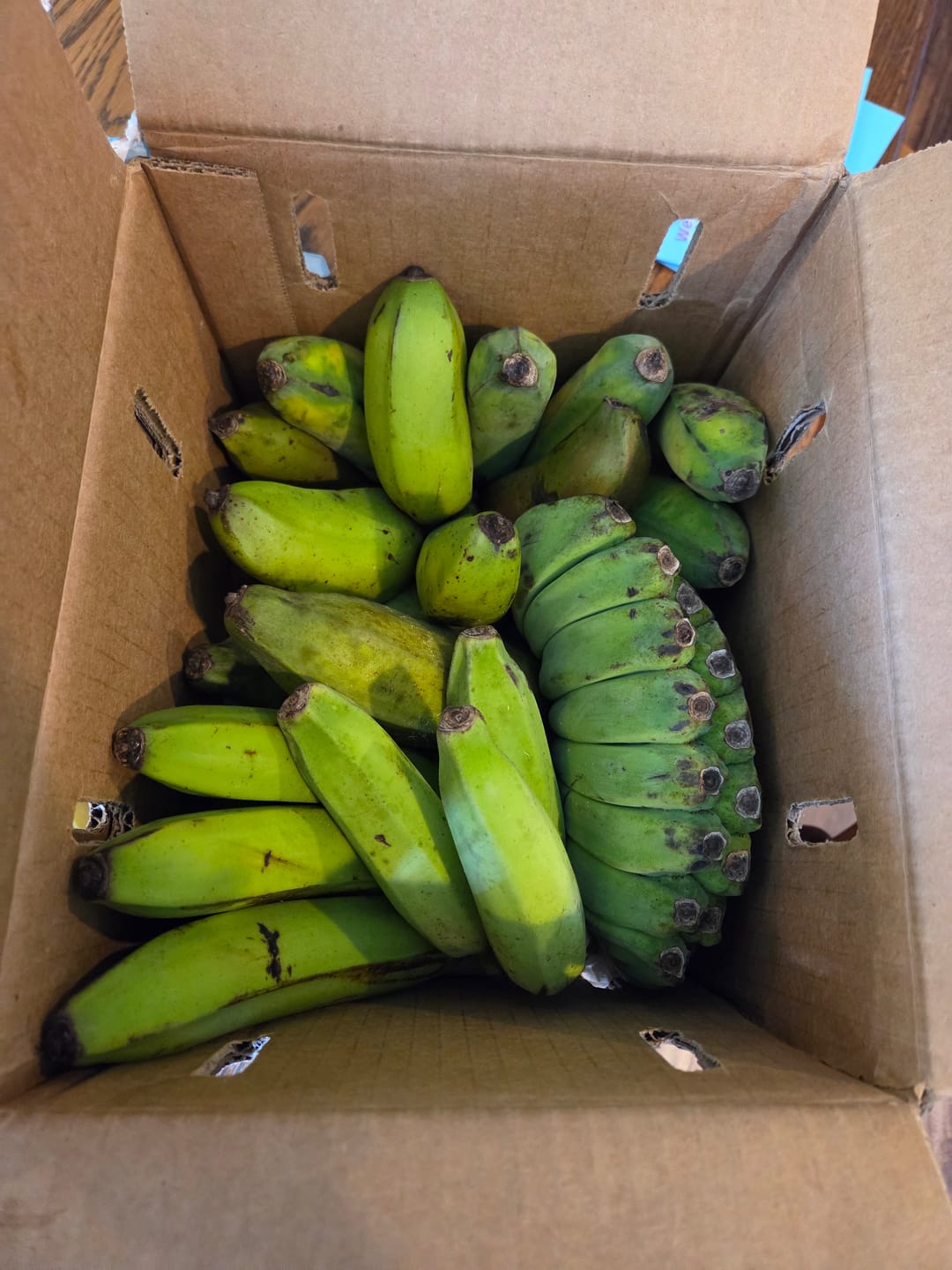 Customer photo review of Banana Variety Box