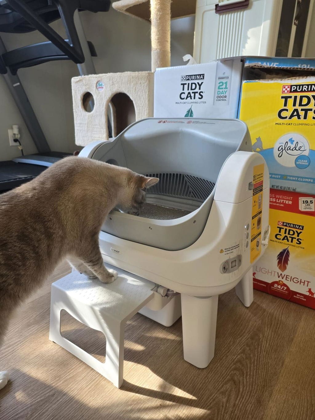 Customer photo review of AutoScooper 12 Lite Cat Litter Box