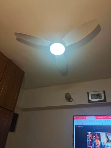 Customer photo review of Three-Blade Ceiling Fan with Dimmable Light and Remote