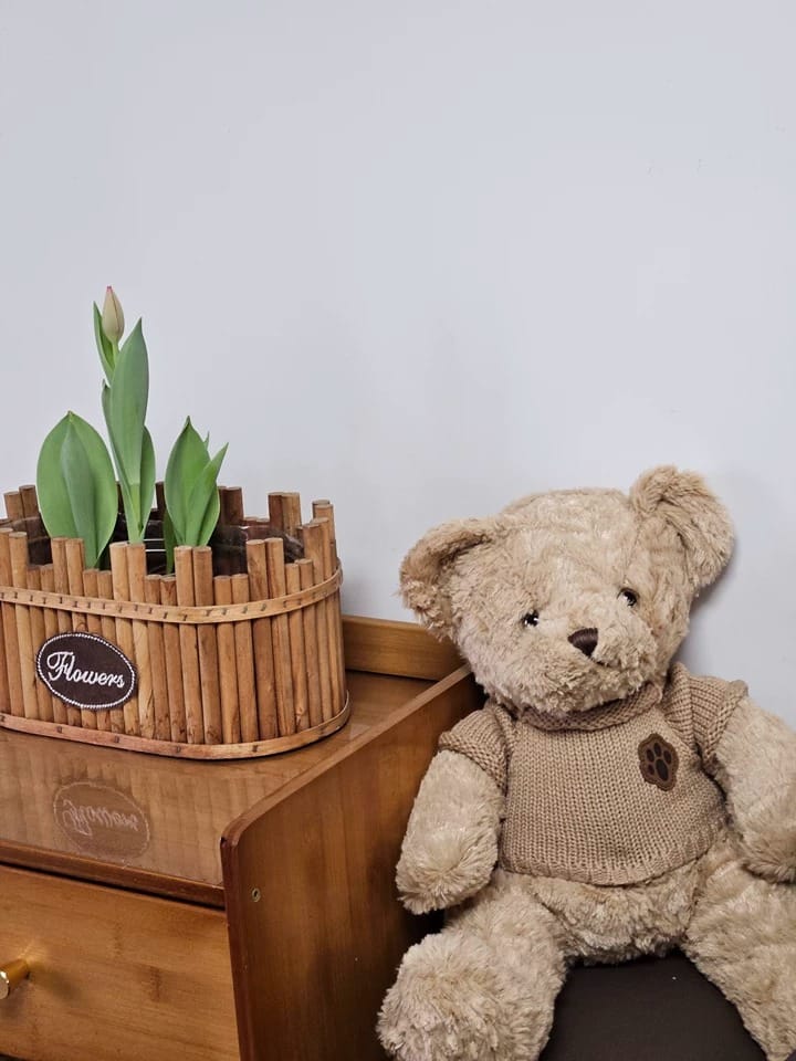 Customer photo review of Bruno Toffee Bear Plush Toy