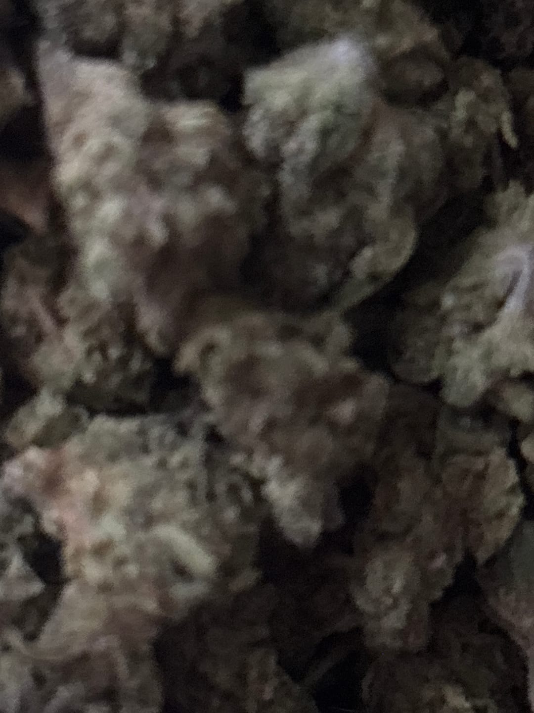 Customer photo review of Jager Sour Diesel - Micros - 28 Grams - Hybrid