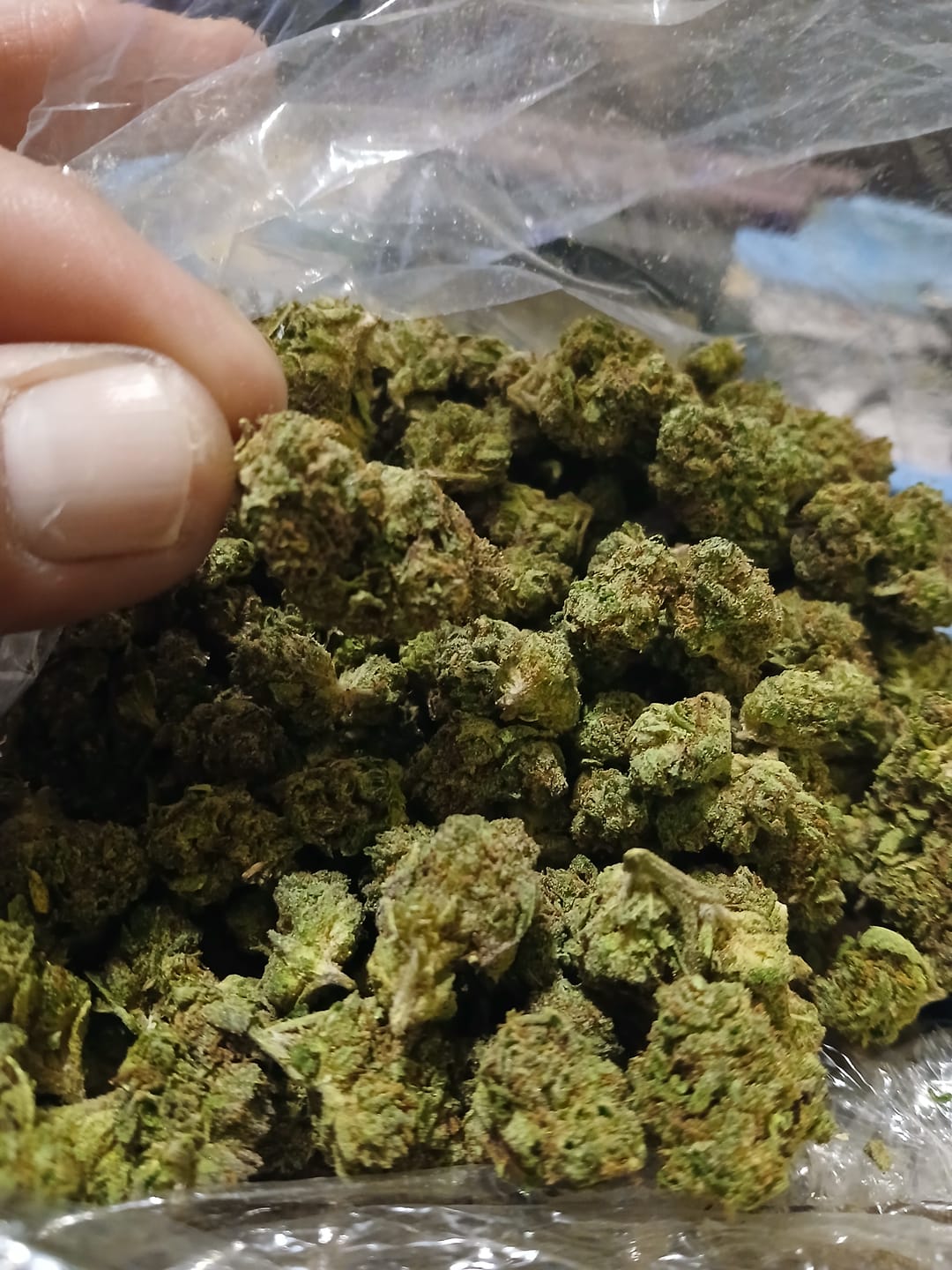 Customer photo review of T.I.T.S. - Bulk - Hybrid