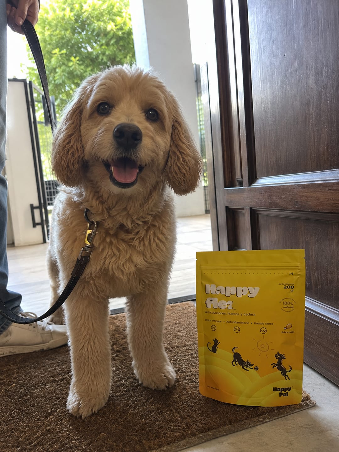 Customer photo review of Happy Pal I Happy Flex I Suplemento Para Articulaciones de Perros y Gatos